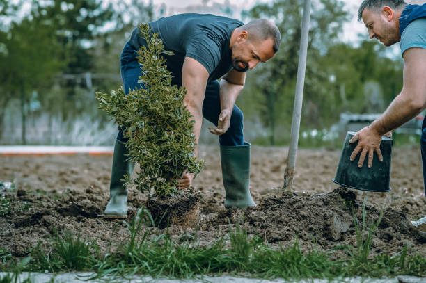 Mulching Services in Waterville, OH